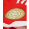 24-25 Bundesliga Champion Armband